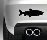 South Coast Stickers TROUT FISHING BUMPER STICKER VAN BOAT FISH DECAL DUB DECAL
