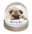 Pug Dog 'Missing You' Sentiment Photo Snow Globe Waterball Stocking Filler Gift