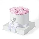 Graclect 7-Piece Preserved Roses in a Box for Delivery Prime - Forever Flowers - Immortal Roses Birthday Gifts for Her - Christmas Valentines Day Gifts for for Mom/Girlfriend/Wife/Grandma - Pink