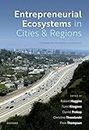 Entrepreneurial Ecosystems in Cities and Regions: Emergence, Evolution, and Future (English Edition)