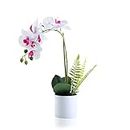 Meneco Artificial Orchid in Pot – White Orchid Artificial Flower Arrangements Realist Fake Plant Decoration Potted Faux Flower (15”, White Orchid)