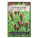 Sow Right Seeds - Crimson Clover Seed for Planting - Cover Crops to Plant in Your Home Garden - Nitrogen Fixer - Clover Seeds Ground Cover - Non-GMO Heirloom Seeds - Gardening Gift