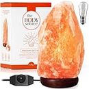 The Body Source Himalayan Salt Lamp 6-8 inches (4-7Ib), Includes Lamp Dimmer Switch and Night Light - All Natural Salt Lamp with Handcrafted Wooden Base and Salt Lamp Light Bulb Replacement