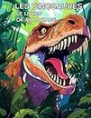 Dinosaure, livre de coloriage pour les enfants de 4 à 8 ans: Dinosaure cahier de coloriage pour les enfants, idéal cadeau garçon enfant de 5 ans, 4ans, 5ans, enfant de 2 à 6ans