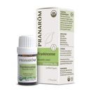 Pranarom Frankincense 5ml - 100% Pure Natural Therapeutic Grade Essential Oil For Diffusing, Skincare, & Wellness | 3.1 H x 1.2 W x 1.2 D in | Wayfair