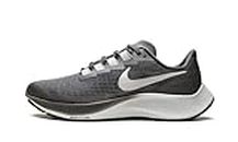 Nike Men's Air Zoom Pegasus Shoe, Iron Grey/Light Smoke Grey, 10.5