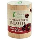 Feel Green Pflanzy Schokoladenblume, Nachhaltige Geschenkidee (100% Eco Friendly), Grow Your Own/Anzuchtset, Pflanzen im Holzzylinder, Made in Austria