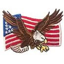 American Eagle Flag Art Jeans hat Jacket Clothing Badge Iron on Sew on Embroidered Patch appliqué