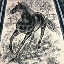 WOW! Running Horse Blanket Large 2 in 1 Bed Cover Wall Hang Reversible 52" x 81"