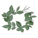 Bristol Novelty Green Laurel Leaf Headband (Pack of 1) - Exquisite Design, Perfect Headpiece for Historical, World & Culture, World Book Day, Themed Events, Cosplay, & More