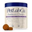 PetLab Co. Probiotics for Dogs - Support Gut Health, Itchy Skin, Seasonal Allergies, and Yeast with Each Tasty Chew - Dog Probiotics - Safe for Small, Medium and Large Dogs - Packaging May Vary