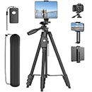 63" Tripod Stand for 4"-13" Phone & Tablet, Camera Tripod Stand with Rechargeable Remote & Bag, Aluminum Portable Tripod with 2 in 1 Mount & 1/4" Screw, Compatible with iPhone, iPad, Camera, Projector