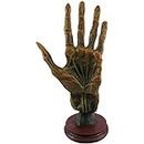 F.e.s.s. Alchemy Mummified Palmistry Hand Gothic