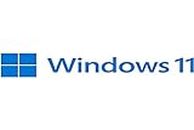 Microsoft Windows 11 Professional OEM 64-bit English DVD