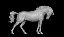 breyer model horse Proud Stallion Warm blood resin ready to paint trad size
