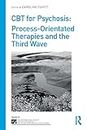 CBT for Psychosis: Process-orientated Therapies and the Third Wave (The International Society for Psychological and Social Approaches to Psychosis Book Series)