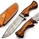 Damascus Steel BK-3047 Hunting Knife - Beautiful Handmade Rose wood Handle
