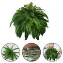 Vibrant green fern grass decoration for natural For home and garden settings