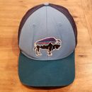 Patagonia Fitz Roy Bison Buffalo Hat Cap Snapback Blue Green Mesh Trucker