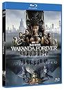 Black Panther: Wakanda Forever (Blu-ray) [Blu-ray]