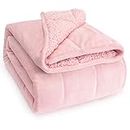 Wemore Sherpa Fleece Weighted Blanket for Adult, 15 lbs Dual Side Cozy Fluffy Heavy Blanket, Ultra Fuzzy Throw Blanket with Soft Plush Flannel Top, 60 x 80 inches for Queen Size Bed, Pink on Both Side