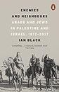 Enemies and Neighbours: Arabs and Jews in Palestine and Israel, 1917-2017 (English Edition)