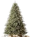 Balsam Hill Classic Blue Spruce Prelit Artificial Christmas Tree, 6 Feet, Clear Lights by Balsam Hill
