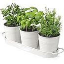 Herb Garden Planter Indoor Kit with Tray, Kitchen WindowSill Metal Plant Pots Countertop Gardening Planter herb pots for Outdoor or Indoor Plants (White)