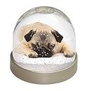 Advanta Group Pug Dog Photo Snow Globe Waterball