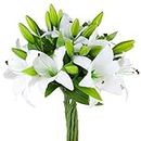 Hananona 8 Pcs Artificial Tiger Lily Real Touch Lily Easter Lily Fake Spring Flowers for Wedding Home Party Easter Decoration Plastic Lily Faux Flowers (White, 8)