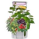 Hydroponics Growing System,Smart Hydroponic Gardening System with LED Grow Light,Indoor Hydroponic Herb Grow Kit with Climbing Trellis for Short Tomato,Pepper,Cucumber, Unique Gift for Mom (6200LC)