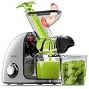 2nd Edition Big Dual Mouth Cold Press Juicer, SiFENE Slow Masticating Juicer Machines for Fruit & Vegetable, Juice Maker Extractor, Easy to Clean, Gray