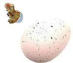 KT Oeuf de dinosaure Hatch & se développer dans l'eau de l'eau Dino oeuf Magic Toy Grow Pet