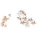 10 Set Metal Star Rivets 14mm Garment Rivets Leather Rivets Studs and Spikes for Leather Craft Clothing Bags Belts Dog Collar Shoes(Oro)
