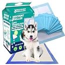 Discount Seller Small 100-Pack Disposable Puppy Training Pads 45x33cm, Super Absorbent and Multi Layered Leakproof Odour Locking Puppy Pads, anti-slip and quick dry dog training pads