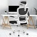 Razzor Ergonomic Office Chair, High Back Mesh Desk Chair with Lumbar Support and Adjustable Headrest, Computer Gaming Chair, Executive Swivel Chair for Home Office, RZ2202H-White