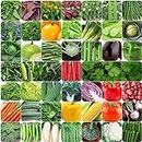 GROW DELIGHT 45 Varieties of Vegetable Seeds for Home Garden, Organic & Hybrid, Perfect for Home Gardening, Planting For Pots and Patio, Wide Variety of Vegetables (2000 Seeds)