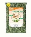 JiMMy Pet Products Alfalfa Hay for Rabbit Premium Select for Rabbit hay Guinea Pig & Hamster (1.2 Kg)
