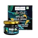 Kapiva Shilajit Gold Resin - 20g | Helps in boosting Stamina | Contains 24 Carat Gold | 100% Ayurvedic