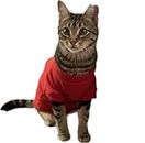 Monkey Cat Sweater for Cats Kittens Hairless Cats Small Dogs Puppies Cat Clothes for Indoor Cats Cat Clothing Cute Cat Accessories