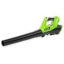 Greenworks 40V Cordless Axial Blower Skin