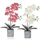 Alynsehom Artificial Phalaenopsis Flowers 2 Pack Fake Orchid Flowers Artificial Potted Plant Waterproof Faux Stem Plants for Table Office Living Room Bathroom Garden Home Decor(Pink)