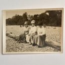 Antique Photo 3 Women On A Log In With Fancy Hats And Dresses Early 1900s