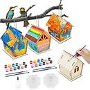 Toivize 3 Pezzi Kit Casetta per Uccelli Fai da Te, Casetta Uccelli in Legno per Bambini per Costruire e Dipingere giocattoli Artigianato in Legno Regalo di Compleanno per Bambini Ragazze Ragazzi