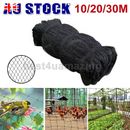 Bird Netting Net Anti Pest Commercial Fruit Trees Plant 10m/20m/30m Mesh Black