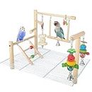 Small Bird Playground for Top of Cage Tree Bird Stands for Parrots Bird Play Ground Outside Bird Cage Toys Outside Bird Cage Accessories Top Bird Cage Perch Parakeet Perch for Bird Cage