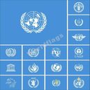 International Flag 3X5FT UN FAO IAEA ICAO IFAD ILO IMO ITU UNEP  UPU WHO WMO ICC
