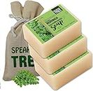 Speaking Tree Detoxifying Moringa Handmade soap (Pack of 3)