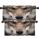 Shrahala Eye Wolf Beautiful Animal Kitchen Valances Half Window Curtain, Eye Contact with Severe Wolf Menacing Expression and Valance for Window Ink Printing Valances Curtains 52x18 inch(2pcs)