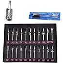 Tattoo Tips Stainless Steel Tubes Kits,New Star Tattoo 22pcs Assorted Tattoo Stainless Steel Tip Kit with 1 pc Stainless Steel Tattoo Machine Tube Handle Grips,Cleaning Brush,and Tattoo Allen Wrench l